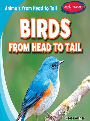 cover image of Birds from Head to Tail